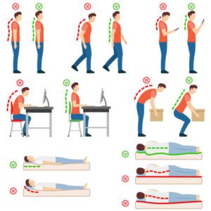 Diagram demonstrating ideal body postures and movements for good spinal health